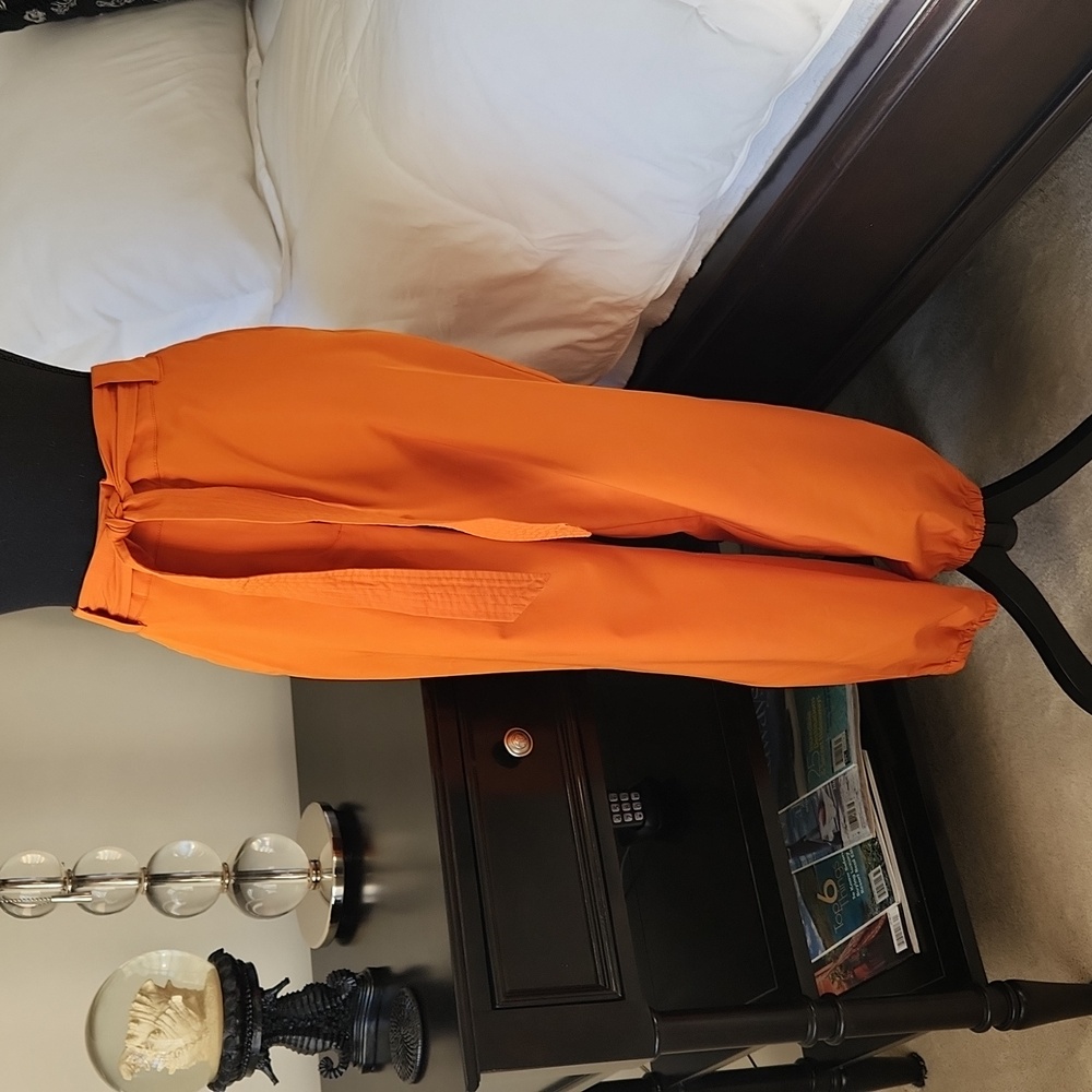 The Limited Orange Pants with Belt